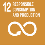 SDG 12. Ensure sustainable consumption
and production patterns