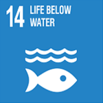 SDG 14. Conserve and sustainably use the oceans, seas and marine resources for sustainable development