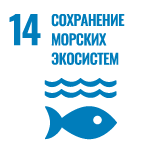 ЦУР № 14. Сохранение и рациональное использование океанов, морей и морских ресурсов в интересах устойчивого развития
