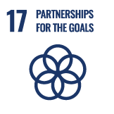 SDG 17. Strengthen the means of implementation and revitalize the global partnership for sustainable development